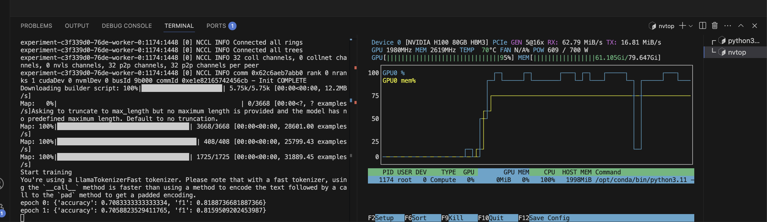 exec_sw_show_nvtop