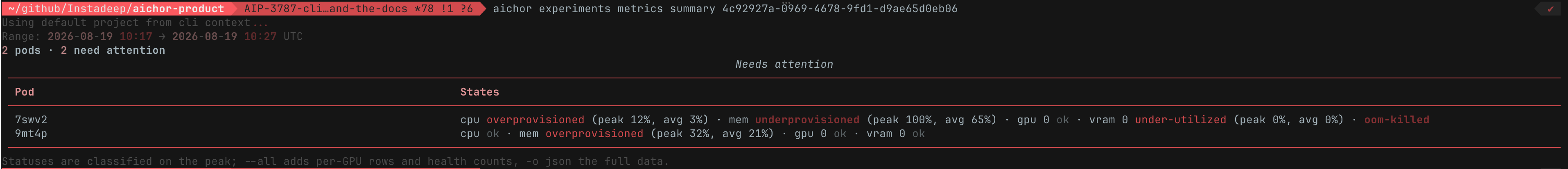 aichor experiments metrics summary output